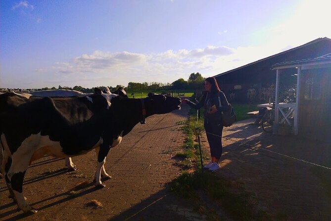 Unique Dutch Villages Zaanse Schans, Dutch Farm and Giethoorn Tour Incl Boat - Common questions