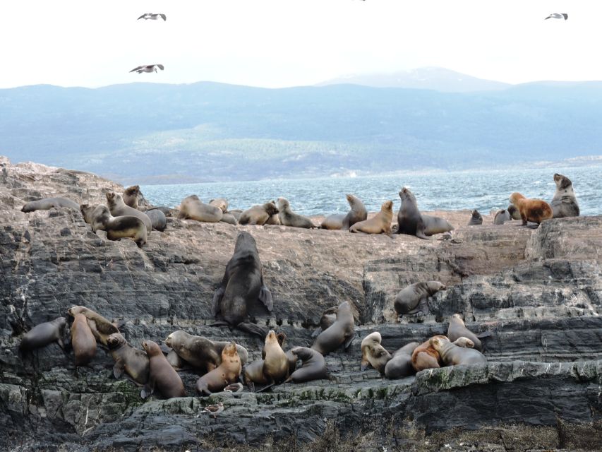 Ushuaia: Beagle Channel & Sea Wolves Island Catamaran Cruise - Directions