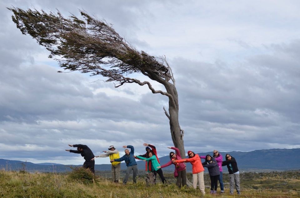 Ushuaia: Gable Island and Penguin Colony With Canoeing - Activity Details