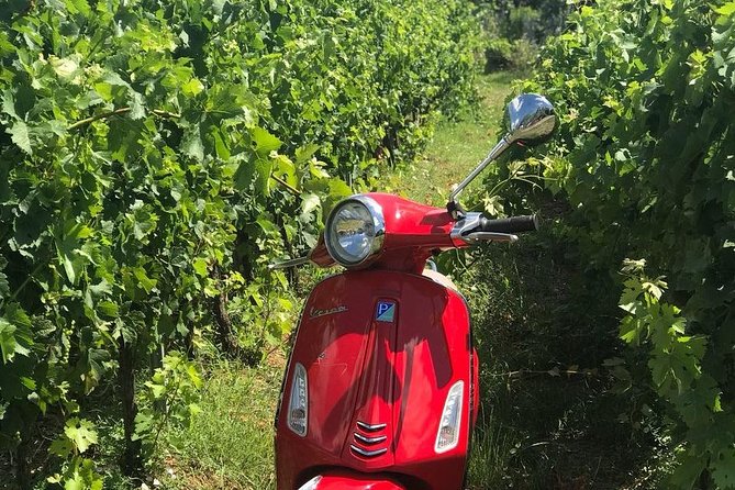 Vespa Tour With Lunch&Chianti Winery From Siena - Recommendations for Enhancements