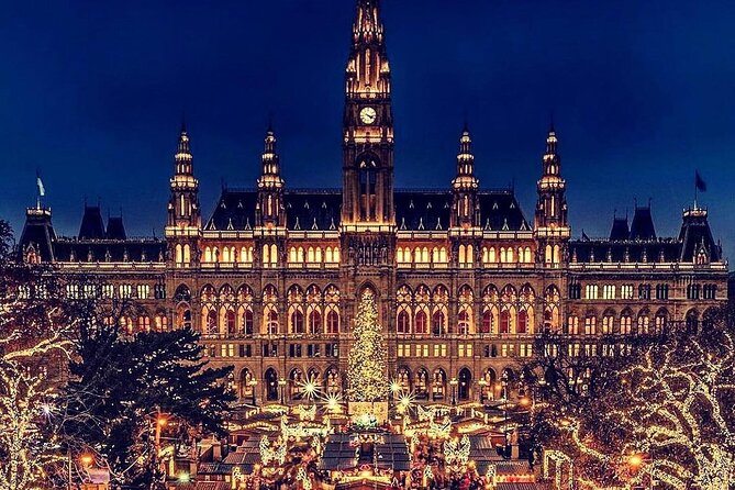 Vienna Christmas Market Tour With Private Local Guide - Pricing and Booking Information