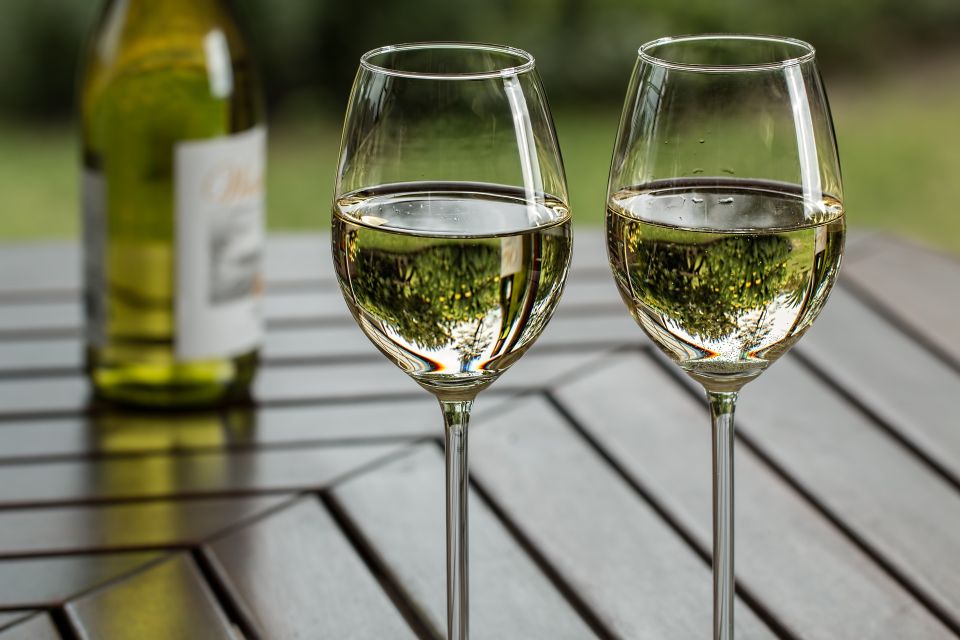 Vinho Verde Full-Day Premium Wine Tour - Customer Reviews