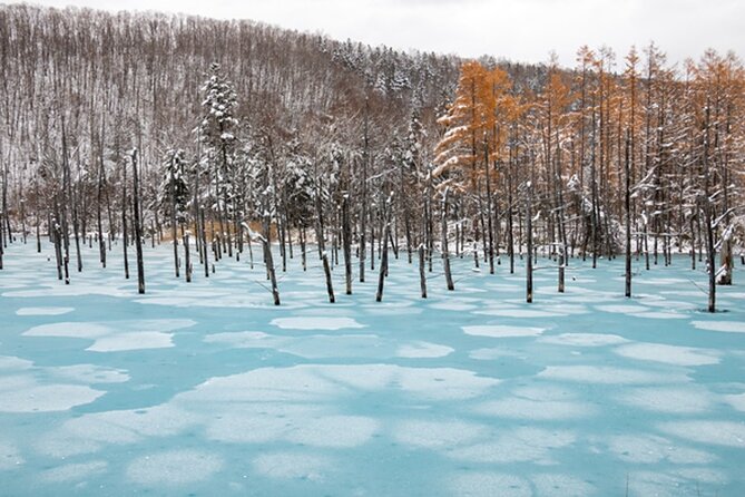 Visit Asahiyama Zoo, Fascinating Aoi-Ike and Shirohige Falls! - Chasing Waterfalls at Shirohige