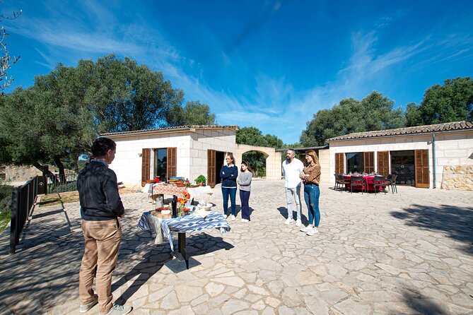 Visit the Finca and Olive Grove, Extra Virgin Olive Oil Tasting and Snack - Directions
