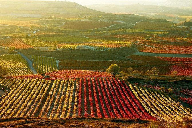 Vitoria Guided Tour With Rioja Winery Visit From Bilbao - Multilingual Guide and Small Bus