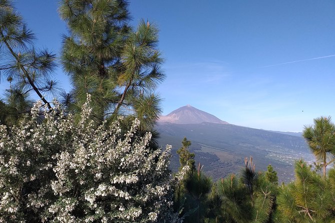 Volcano Teide National Park And North Of The Island VIP TOUR - Last Words