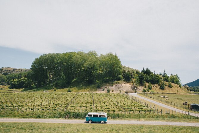 VW Kombi Napier/Hawkes Bay Scenic & Art Deco Tour - Tour Schedule and Itinerary