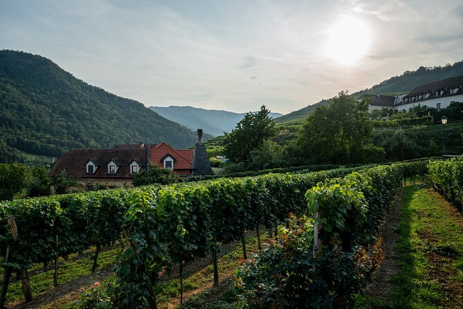 Wachau Valley Vines: A Culinary and Cultural Private Experience - Tour Highlights
