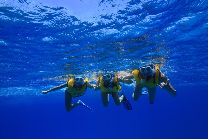 Waikiki: Turtle Canyon Snorkeling Tour From Honolulu  - Oahu - Cancellation Policy