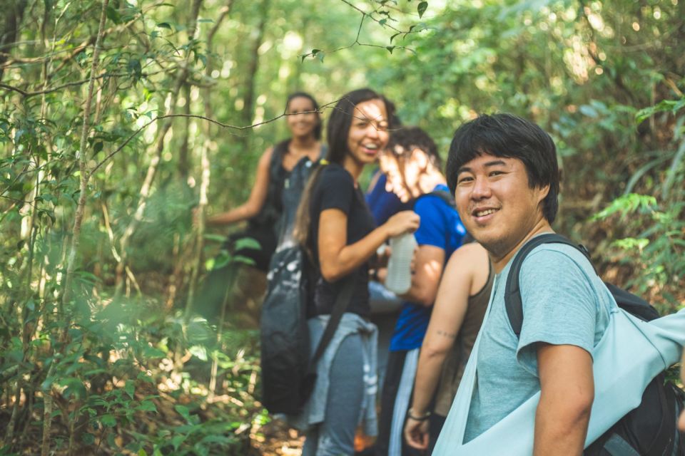 Walk to the Big Rock in Cantareira State Park - Guest Reviews