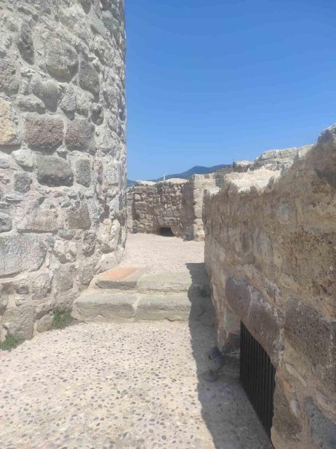 Walking Tour of Halicarnasos & Bodrum St Peter"S Castle - Optional Activities Available