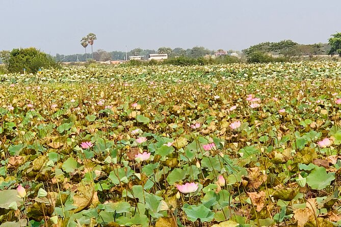 War Museum, Killing Field and Floating Village ( Chong Kneas) Tour - Common questions