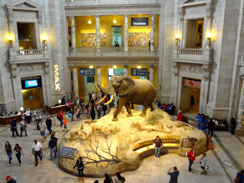 Washington DC: Museum of Natural History Private Guided Tour - Meeting Point Information