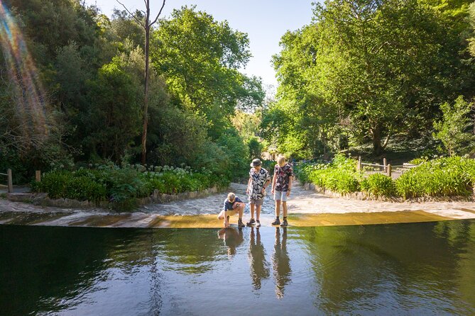 Waterfall Gully to Mt Lofty Guided Hike - Cancellation Policy Information