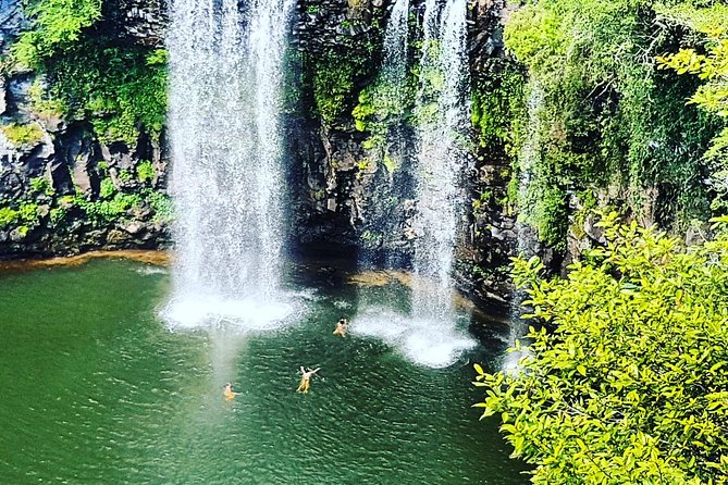 Waterfall, Rainforest & Winery Discovery Tour: Coffs Harbour - Assistance Available