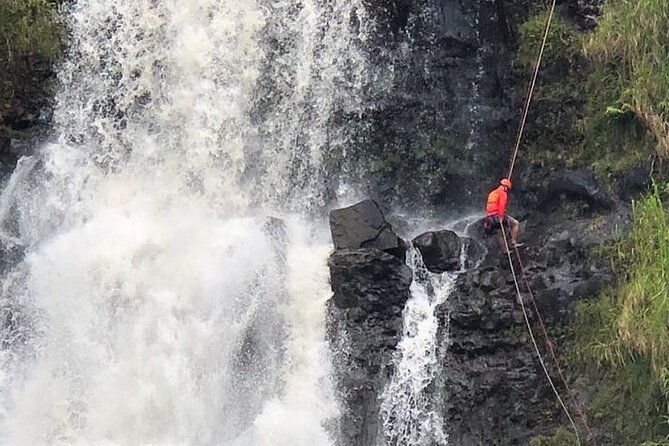 Waterfall Rappelling at Kulaniapia Falls: 120 Foot Drop, 15 Minutes From Hilo - Reviews and Additional Information