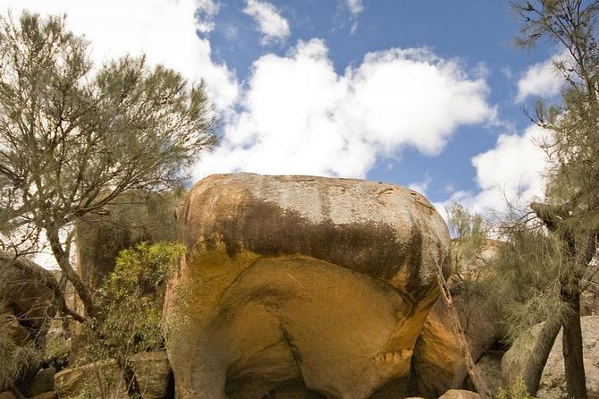 Wave Rock, York, Wildflowers, and Aboriginal Cultural Day Tour From Perth - Tour Inclusions