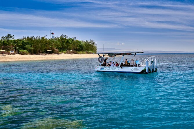 Wavedancer Low Isles Great Barrier Reef Sailing Cruise From Palm Cove - Traveler Testimonials and Feedback