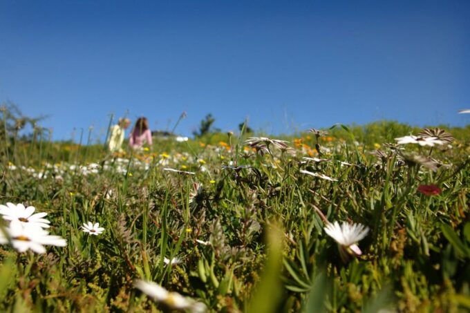 West Coast National Park. Private Tour. - Additional Information