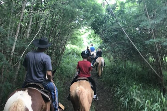 West Maui Mountain Waterfall and Ocean Tour via Horseback - Riding Experience Levels
