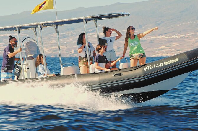 Whale and Dolphin Watching EcoAdventure in Tenerife - Exciting Experiences and Recommendations