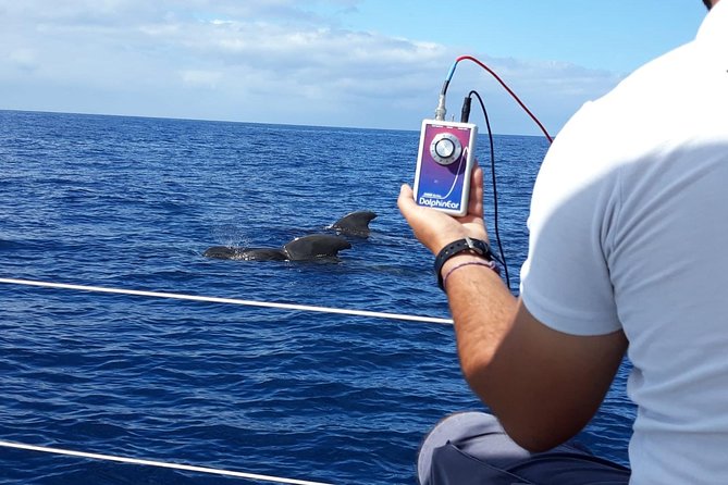 Whale and Dolphin Watching Sailing Boat With Drinks, Snacks and Swimming Time - Common questions