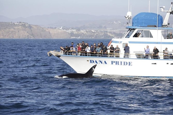 Whale Watching Excursion in Dana Point - Accessibility Considerations