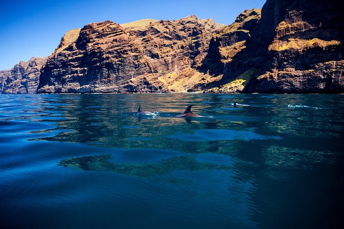 Whales Listening Eco-Catamaran Tour With Food Tasting - Reviews and Ratings