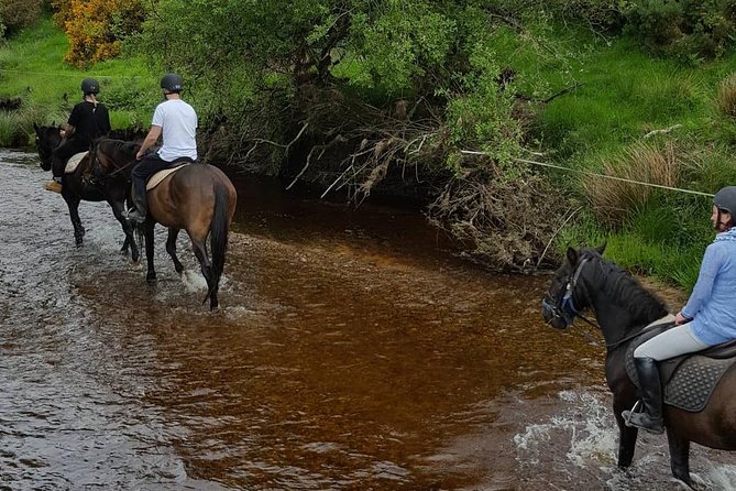Wicklow Monutains Horse Trekking - Common questions