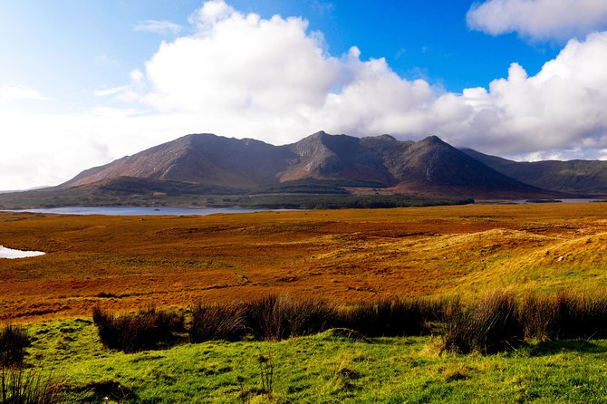 Wild Red Deer Viewing Safari, Connemara. Guided 3hrs - Pricing and Terms