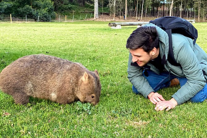 Wild Wombat and Kangaroo Day Tour From Sydney - Host Interaction