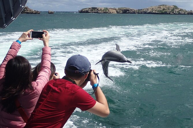 Wildlife Cruise of Shoalwater Islands With Penguin Feeding  - Perth - Common questions