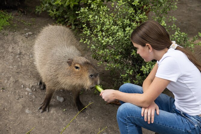 Willowbank Wildlife Reserve Day Entry - Booking Specifics