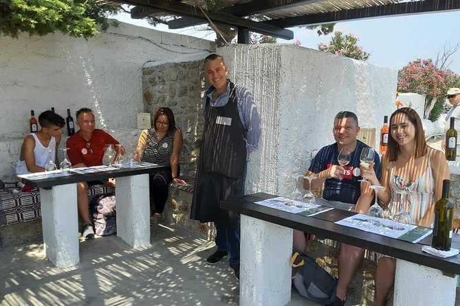 Wine Tasting Tour at a Traditional Farm in Mykonos - The Wrap Up