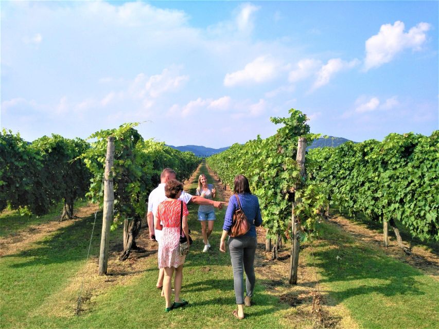 Wine Tour in the Euganean Hills From Abano Montegrotto - Additional Tour Information Provided