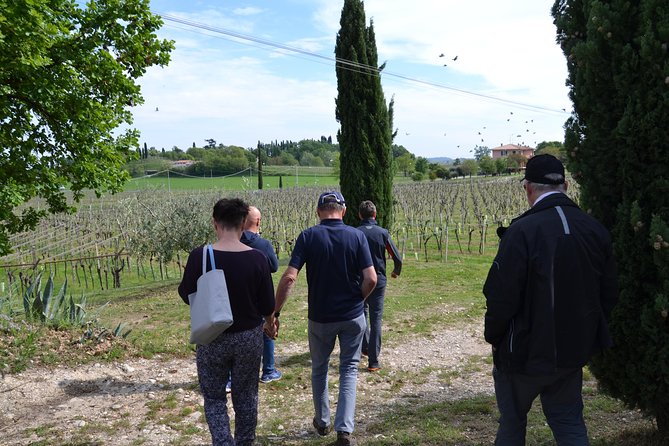 Winery Tour and Tasting of Garda Wines in Lazise - Recommendations and Traveler Endorsements