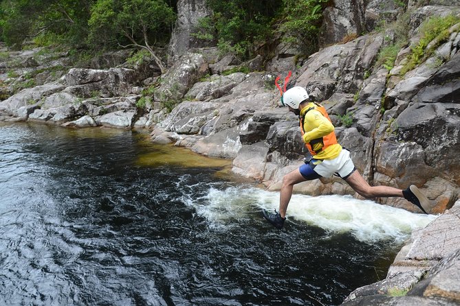 World Heritage Rainforest Canyoning by Cairns Waterfalls Tours - Reviews and Feedback