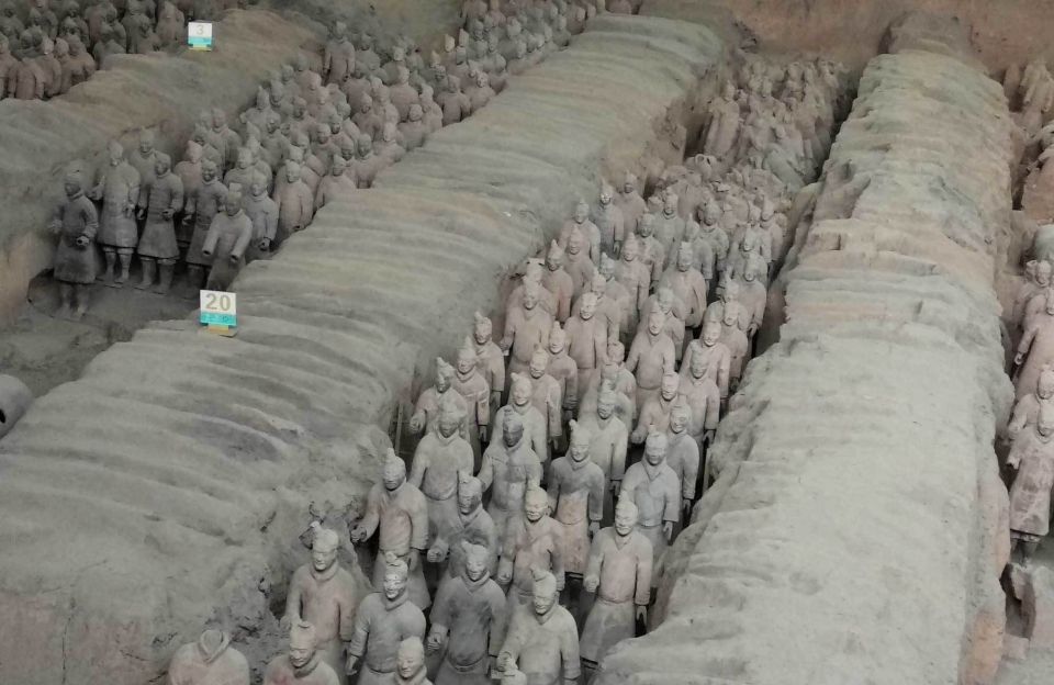 Xi'an: Half-Day Terracotta Warriors & Horses Museum Tour - Tour Experience