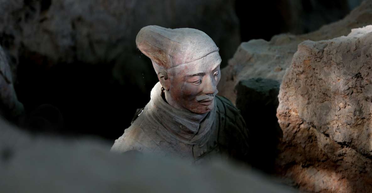 Xi'an: Terra Cotta Warriors 5-hour Walking Tour - Transportation and Additional Services