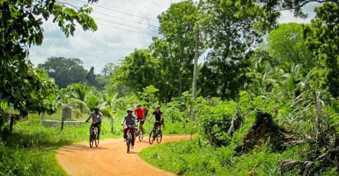 Yala: Cycling Expedition From Hambantota Harbor - Tips for a Successful Expedition