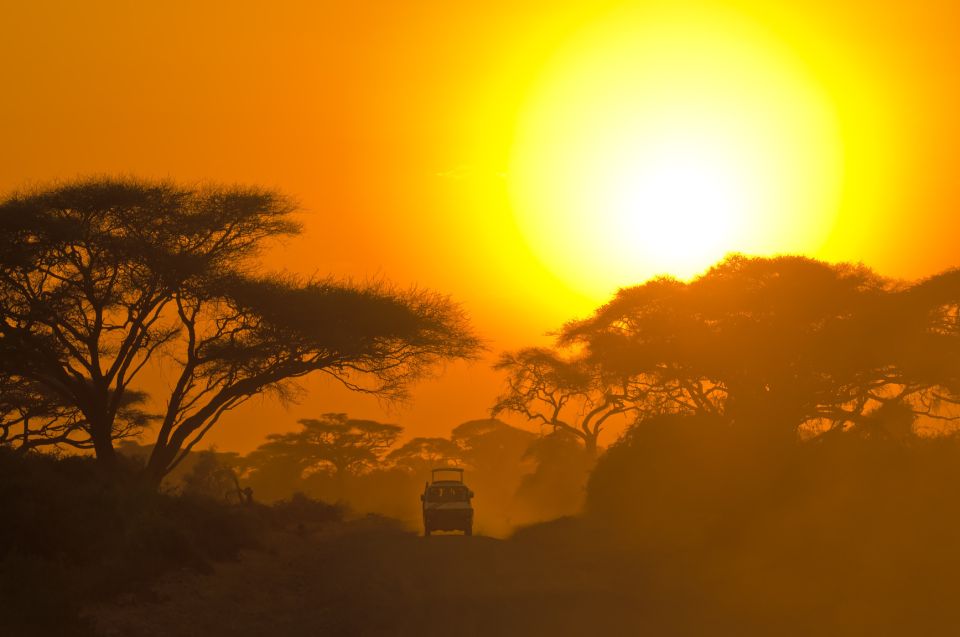 Yala National Park: Morning or Afternoon Golden Hour Safari - Additional Information