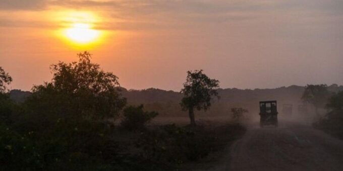 Yala: Night Drive in Yala National Park Buffer Zone! - Last Words