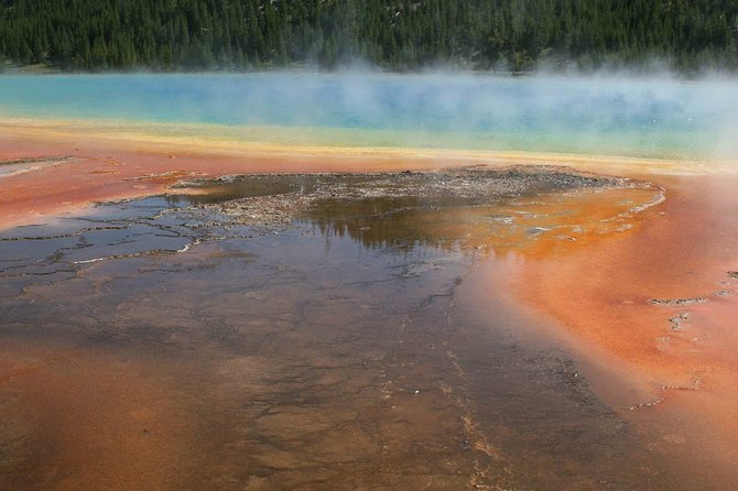 Yellowstone National Park - Full-Day Lower Loop Tour From Jackson - Tour Experience and Activities