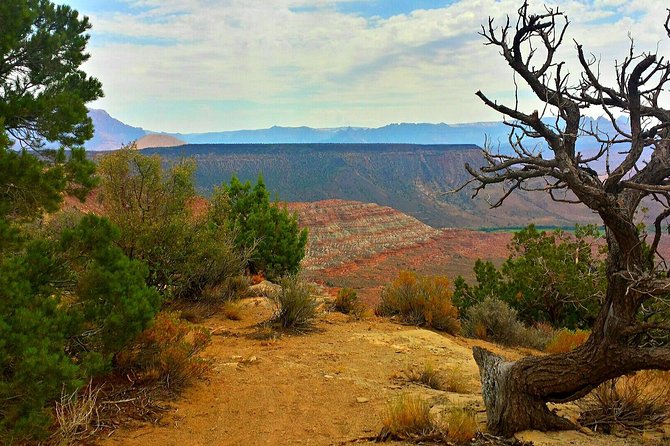 Zion Jeep Tour Premium Package - Afternoon Tour - Feedback and Refund Policies