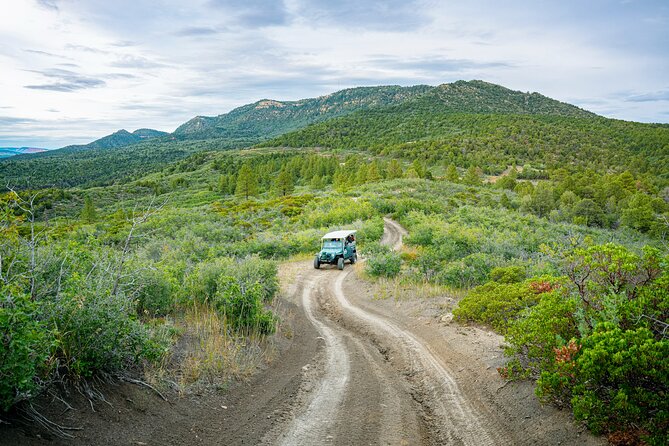 Zion Sunset Jeep Tour - Traveler Photos