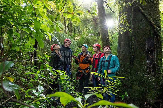 Ziplining Forest Adventure - The Original Canopy Tour Rotorua - Guest Recommendations