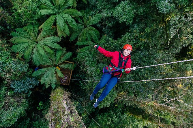 Ziplining Forest Experience - The Ultimate Canopy Tour Rotorua - Navigating the Forest Tour