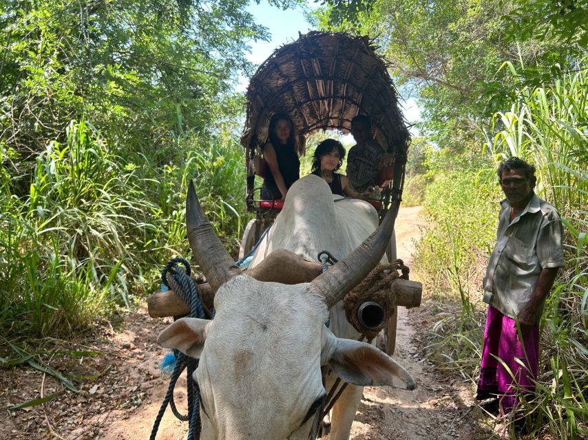 04 Days Explore Sri Lanka's Treasure - Last Words