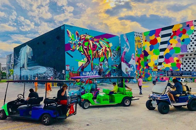 1 Hour Wynwood Street Art Tour - Lowest Price Guarantee