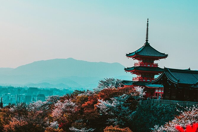 10 Days In-depth Discover Japan Deluxe Tour - Assistance and Support Channels